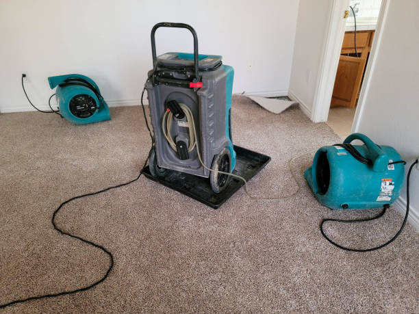 Best Flood restoration services  in Long Branch, NJ