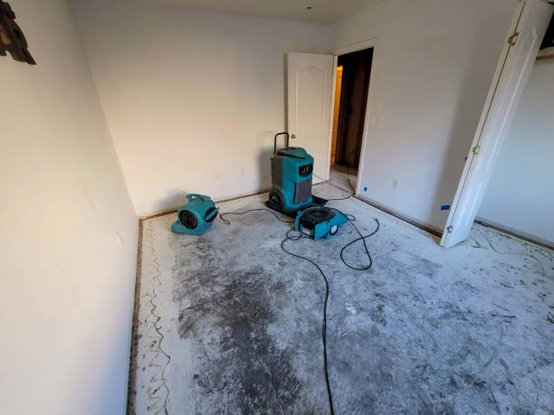 Best Water damage contractors near me  in Long Branch, NJ