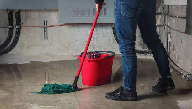 Best 24-hour water damage restoration  in Long Branch, NJ