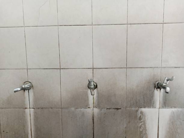 Trusted Long Branch, NJ Water damage restoration Experts